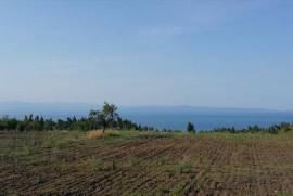 Продажа Земельный участок 14625 m² на Кассандре (Халкидики)