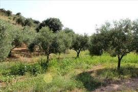 For Sale Land 4042 m² in the Sporades