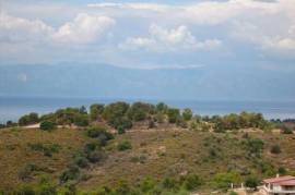 For Sale Land 6000 m² in Eastern Peloponnese