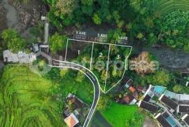 Charming Riverside Retreat Plots in Peaceful Kaba-Kaba