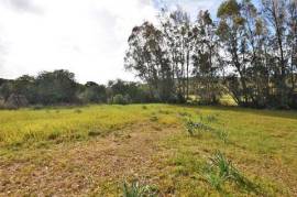 Tenuta agricola di 37 ettari – Santa Maria La Palma (Alghero)