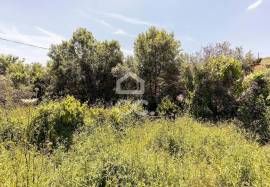 Farmhouse Alandroal Ferreira de Capelins