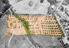 Farmhouse Alandroal Ferreira de Capelins