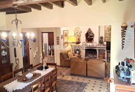 House T8 +1 with Project for Tourism - Mesquitela - Mangualde - Viseu