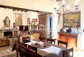 House T8 +1 with Project for Tourism - Mesquitela - Mangualde - Viseu