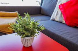 RENTALS - JANUARY 2026 TO APRIL 2026