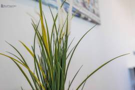 RENTALS - JANUARY 2026 TO APRIL 2026