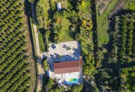 Silves – Beautifully fully renovated country villa on a large plot close to town