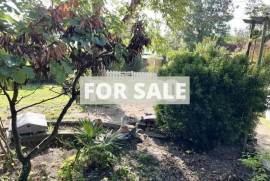 Town House with Neat Garden