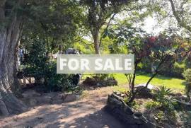 Town House with Neat Garden