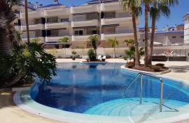 1 Bedroom - Apartment - Tenerife - For Sale