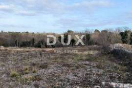 Land Filipana, Marčana, 1.295m2