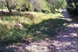 Land-Plot for sale in Bay-Of-Matanchen Mexico