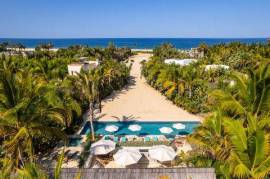 Palm Orchard Reserve, Pacific,