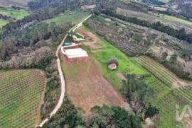 Quinta rural em Alvorninha de 23495 m²