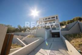 House 343 sq.m for sale