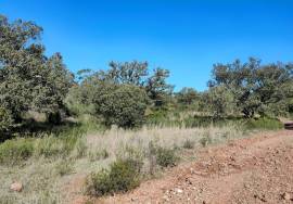 Rustic land with 142,593 m2 in Salir – Loulé.