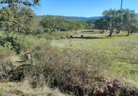 Rustic land with 142,593 m2 in Salir – Loulé.