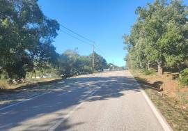 Rustic land with 142,593 m2 in Salir – Loulé.