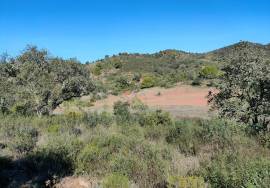 Rustic land with 142,593 m2 in Salir – Loulé.