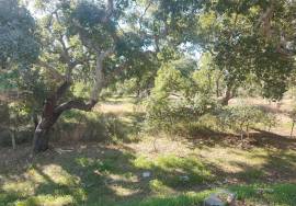 Rustic land with 142,593 m2 in Salir – Loulé.