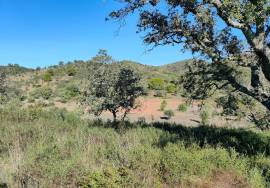 Rustic land with 142,593 m2 in Salir – Loulé.