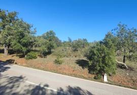 Rustic land with 142,593 m2 in Salir – Loulé.