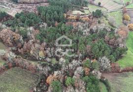 Rustic land with two wells and privileged view – unique opportunity!