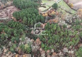 Rustic land with two wells and privileged view – unique opportunity!