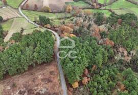 Rustic land with two wells and privileged view – unique opportunity!