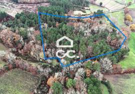 Rustic land with two wells and privileged view – unique opportunity!