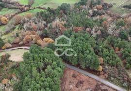 Rustic land with two wells and privileged view – unique opportunity!