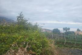 Charming Restoration Project with Ocean Views