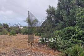 Patã de Cima - Rustic plot of land with 20,060m2