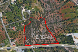 Patã de Cima - Rustic plot of land with 20,060m2