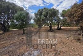 Boliqueime - Rustic land with sea views