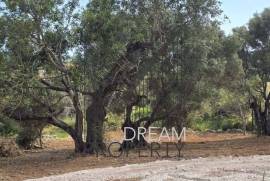 Boliqueime - Rustic land with sea views