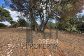 Boliqueime - Rustic land with sea views