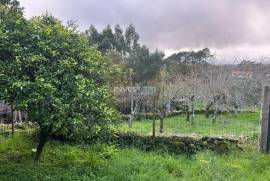 Charming Villa with Tourist Potential in Caminha