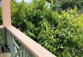 RH-253 Airy 2 bed 2 bath Apartment, Brewer's Bay