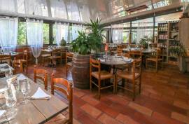 Solid Business For Sale with Swimming Pool Solid Business For Sale with Swimming Pool