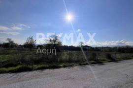 Plot 291236 sq.m for sale