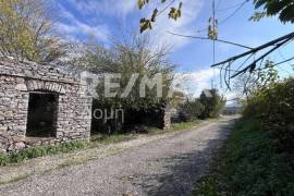 Plot 291236 sq.m for sale