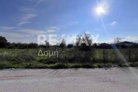 Plot 291236 sq.m for sale