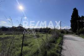 Plot 291236 sq.m for sale