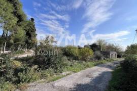 Plot 291236 sq.m for sale