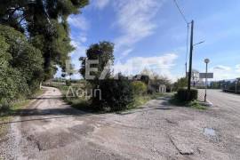 Plot 291236 sq.m for sale