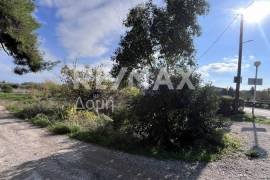 Plot 291236 sq.m for sale