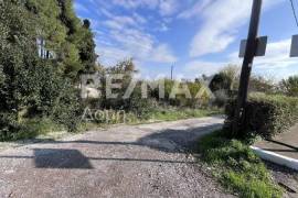 Plot 291236 sq.m for sale