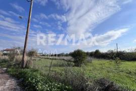 Plot 291236 sq.m for sale